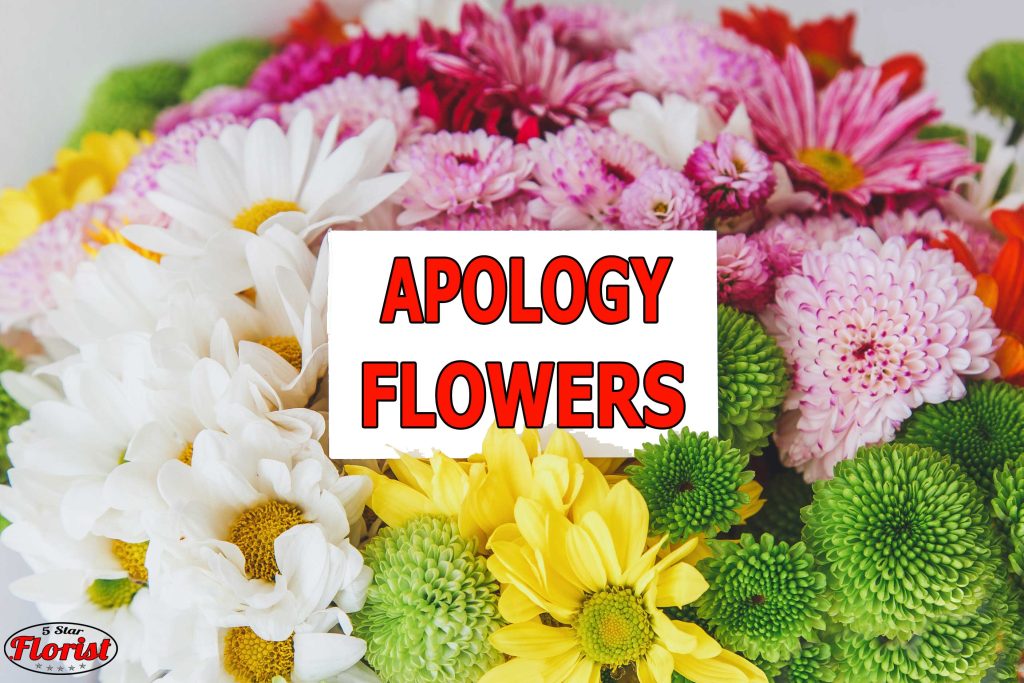 apology flowers Washington