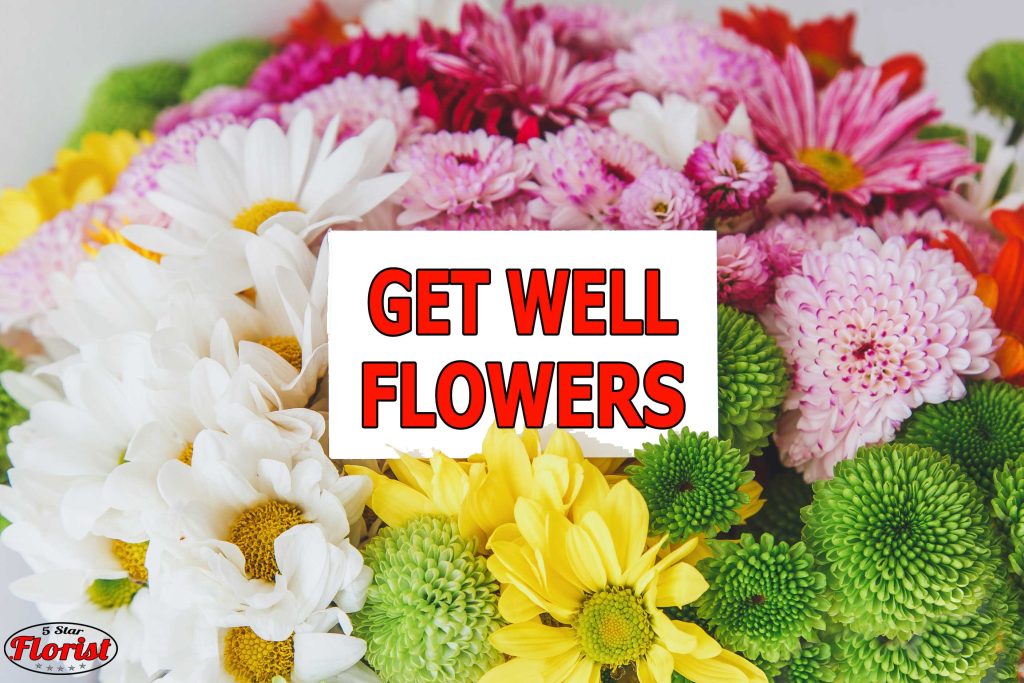 get well flowers Washington