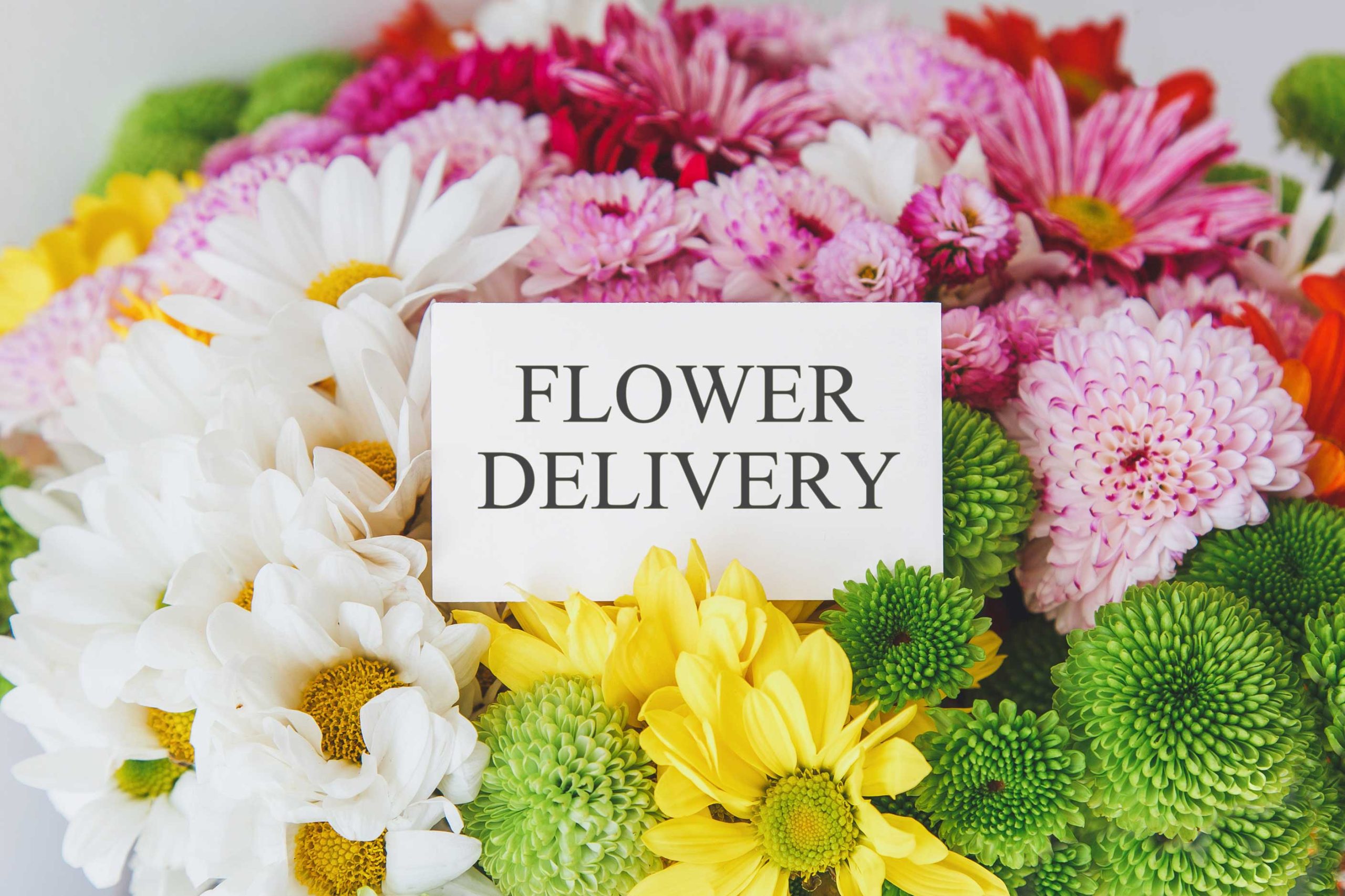 same-day-flower-delivery- Washington